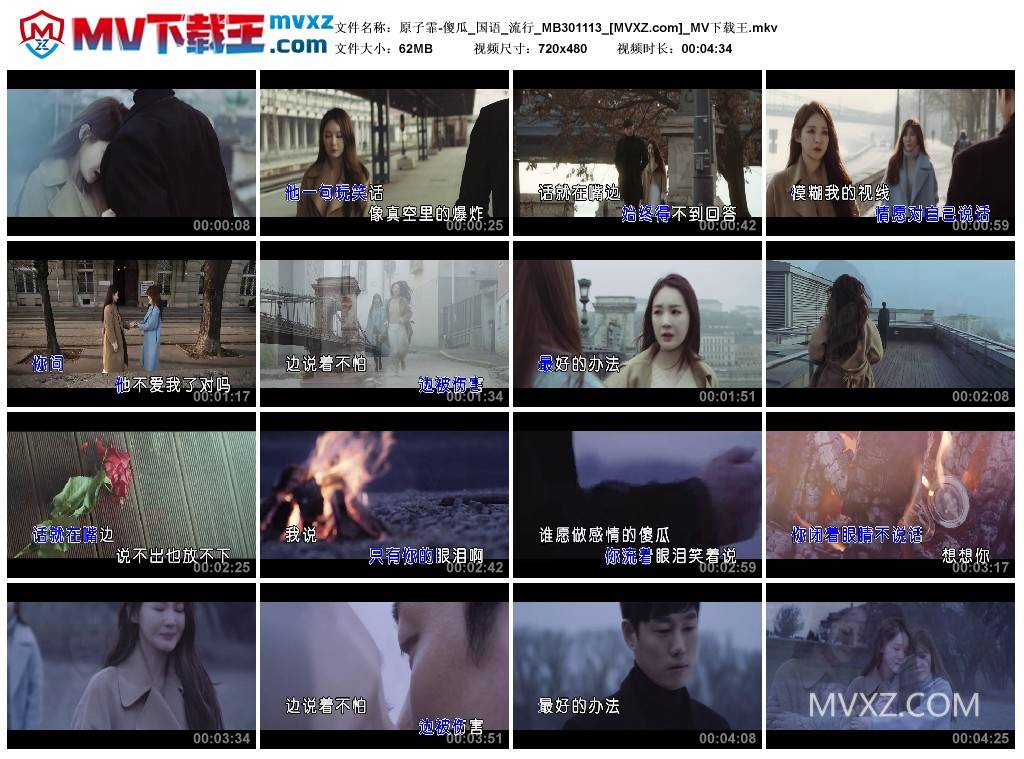 原子霏-傻瓜_国语_流行_MB301113